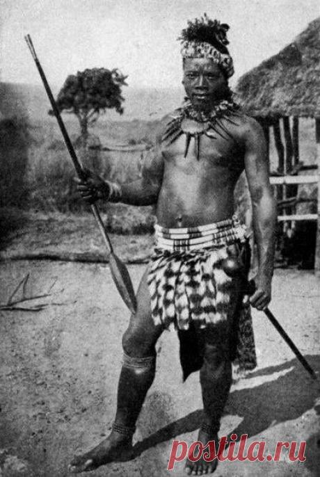 Зулусский воин, 1917 год. / История цивилизаций!