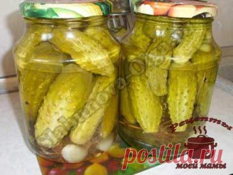 Маринованные огурцы в «Пражской» заливке из СССР - Простые рецепты Овкусе.ру
