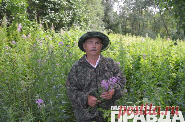 Травник из Марий Эл рассказал о тайнах «соломоновой печати»