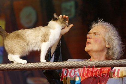 Куклачев рассказал о любви кошек к песням SHAMAN