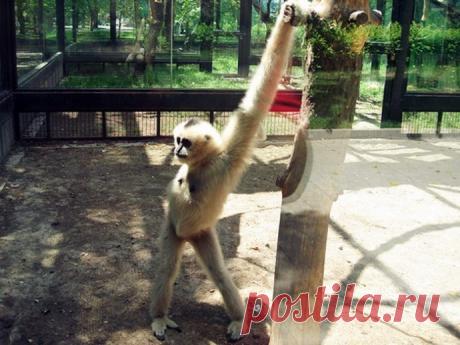 Настоящие фотомодели