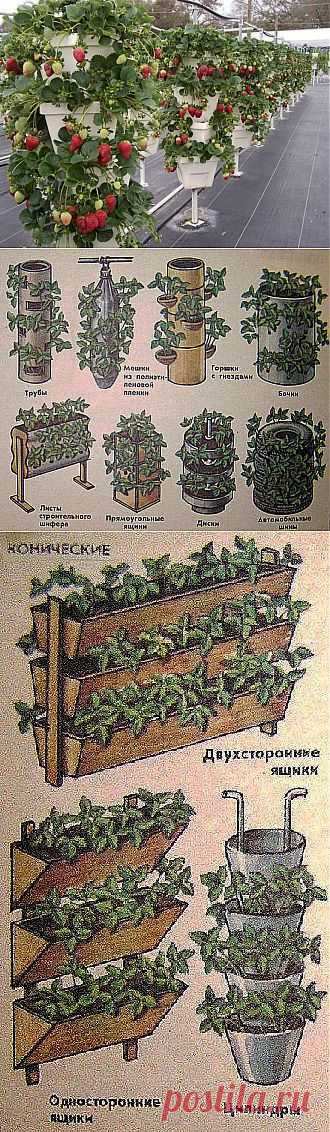Вертикальные грядки для клубники « Дача своими руками