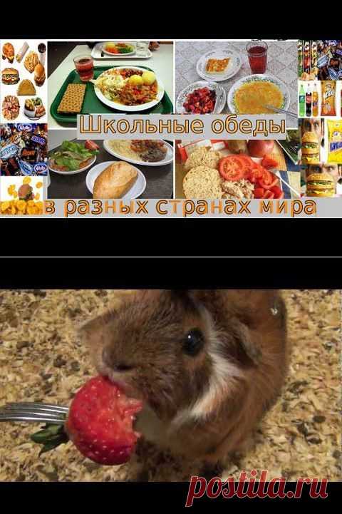 Книга о Вкусной & Здоровой Пище : Группа по интересам. Кулинария : Одноклассники