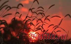 Природа обои на рабочий стол - страница 291