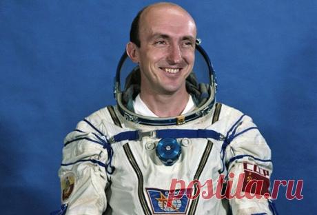 Не все космонавты одинаково полезны | РОДИНА 🐘 СЛОНОВ | Дзен