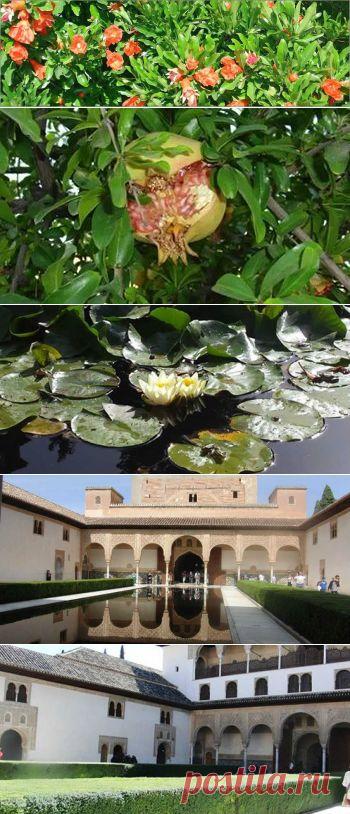 Гид в Гранаде и Андалусии