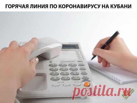 Горячая линия по новому типу коронавируса запущена на Кубани
8 (800) 200-03-66 — Министерство здравоохранения Краснодарского края
8 (861) 255-11-72 — Дополнительная «горячая линия» Управления Роспотребнадзора по Краснодарскому краю. В будние дни с 9:00 до 18:00.