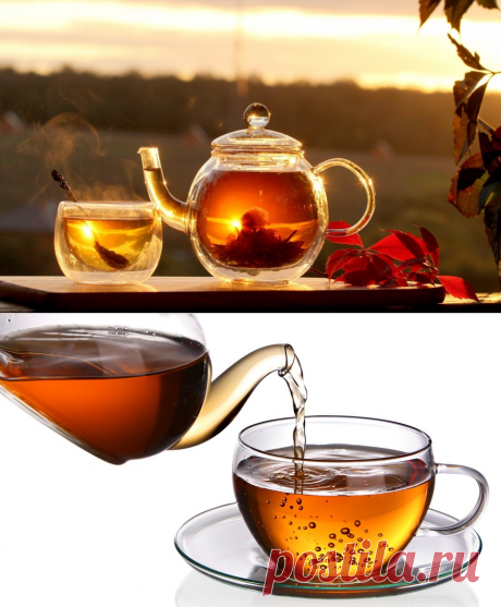 Китайские чайные запреты | Делимся советами