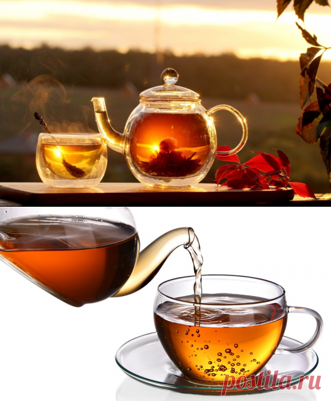 Китайские чайные запреты | Делимся советами