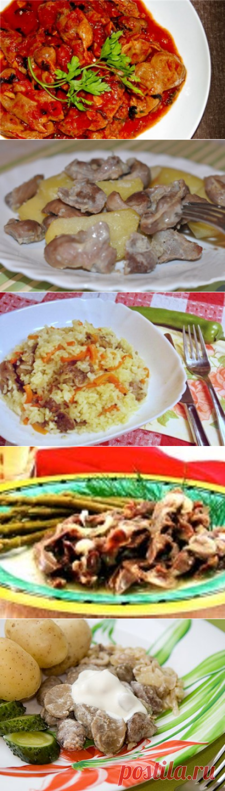Куриные желудки - рецепты с фото / Простые рецепты