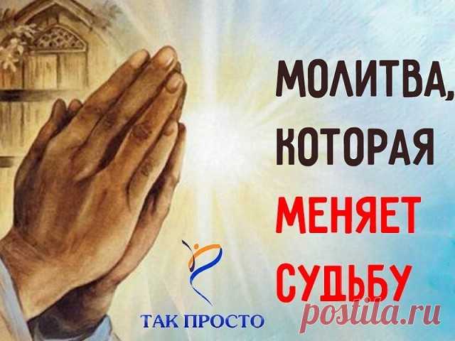 (50) Одноклассники