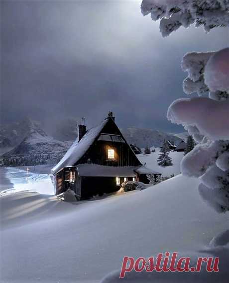 (3) Beautiful World
