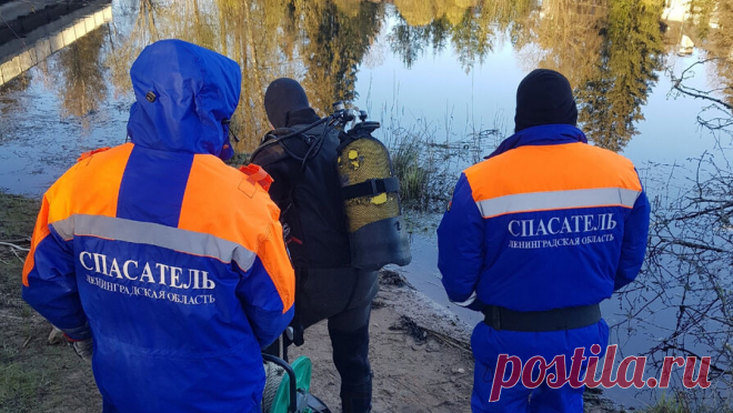 Машина с подростками скатилась в реку в Ленобласти. В поселке Рощино пятеро подростков катались на машине и съехали в реку, троих спасти не удалось. Об этом сообщает аварийно-спасательная служба региона. Инцидент произошел в поселке Рощино в ночь на 12 мая, в реку Рощинка съехал ...
