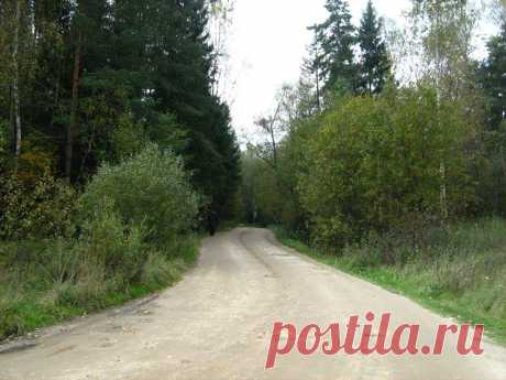 Галина Грозионова