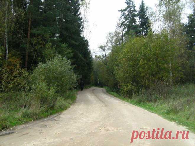 Галина Грозионова
