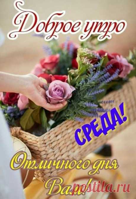 (2) Pinterest