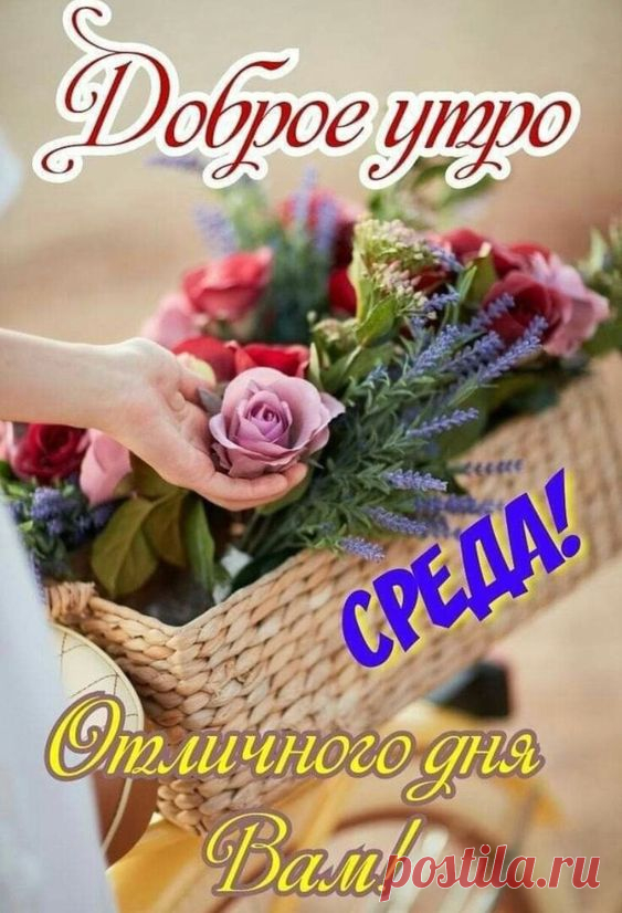 (2) Pinterest