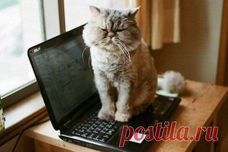 «Чтобы сильно не разочаровываться, не надо сильно очаровываться.»
Народная мудрость