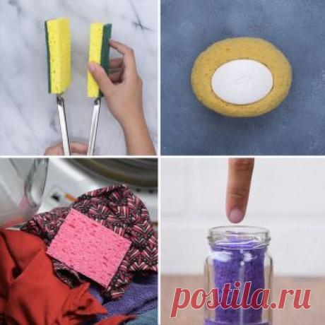 Blossom - Get absorbed into these 5 clever sponge hacks!