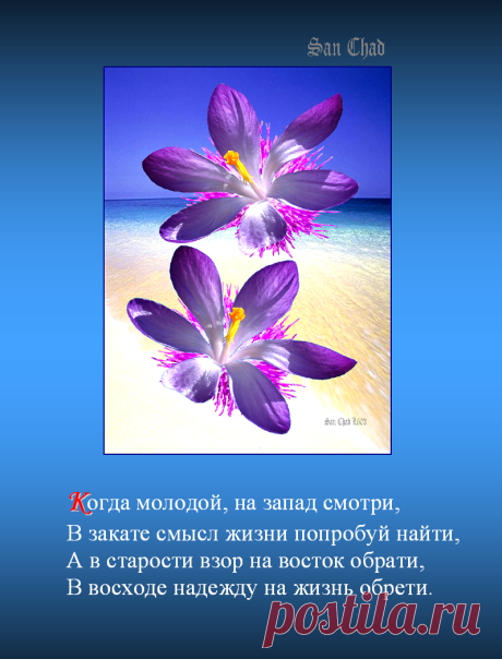 Сан Чад, San Chad * ПОЭТИЧЕСКИЕ УРОКИ МУДРОСТИ.