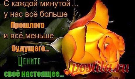 Порой не ценим, что имеем,
Всю жизнь торопимся куда-то.
Всё кажется, что не успеем,
А жизнь прошла, ей нет возврата.
Уже и дочки наши - мамы,
Показать полностью...