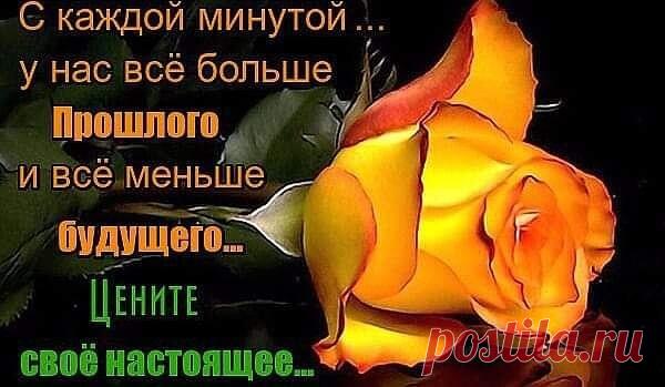 Порой не ценим, что имеем,
Всю жизнь торопимся куда-то.
Всё кажется, что не успеем,
А жизнь прошла, ей нет возврата.
Уже и дочки наши - мамы,
Показать полностью...