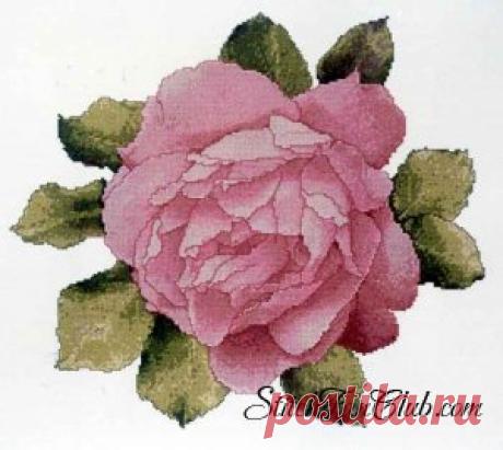 Розы » Страница 4 » Вышивка крестом, схемы вышивки - StitchFanClub