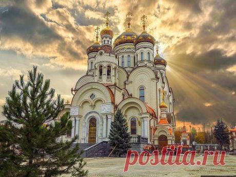 (29) Одноклассники