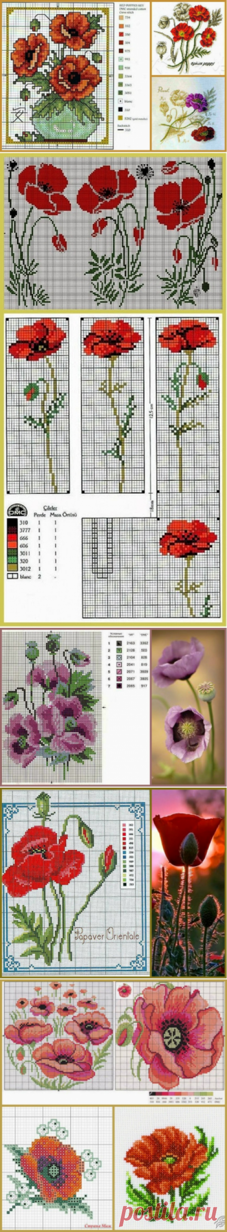 Коллекция схем для вышивки маков. A collection of patterns for embroidery poppies | Домоводство для всей семьи.