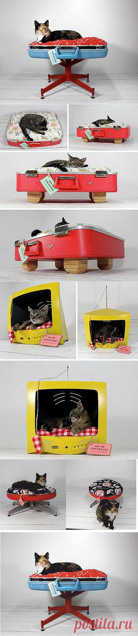 Кошачий лежак из старого чемодана