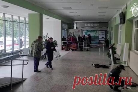 В вузе Перми оценили действия продолжившего лекцию во время стрельбы профессора. Профессор Сыромятников, который продолжил читать лекцию после нападения на вуз, поступил правильно. Так прокомментировали действия лектора в пресс-службе Пермского государственного национального исследовательского университета (ПГНИУ), сообщает РБК. Действия лектора связаны с его решением не поддаваться панике.