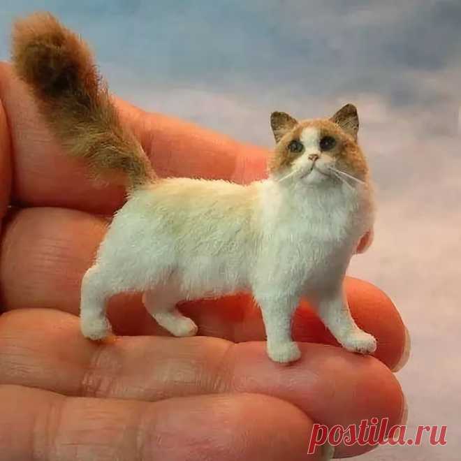 как сделать миниатюру кошки: 14 тыс изображений найдено в Яндекс.Картинках