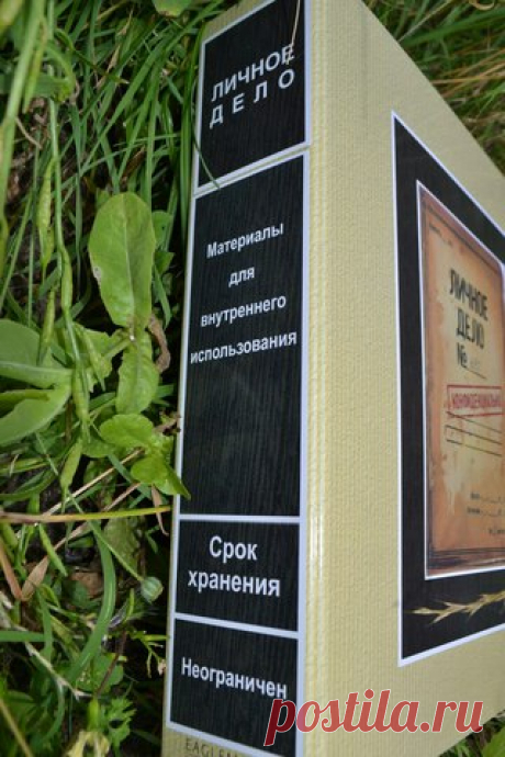 Разбавлю ленту с шоколадом алкоголем) "Личное дело" с материалами для внутреннего использования))