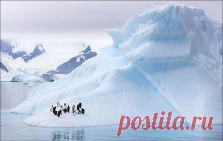 Айсберги в океане...такие холодные и загадочные.