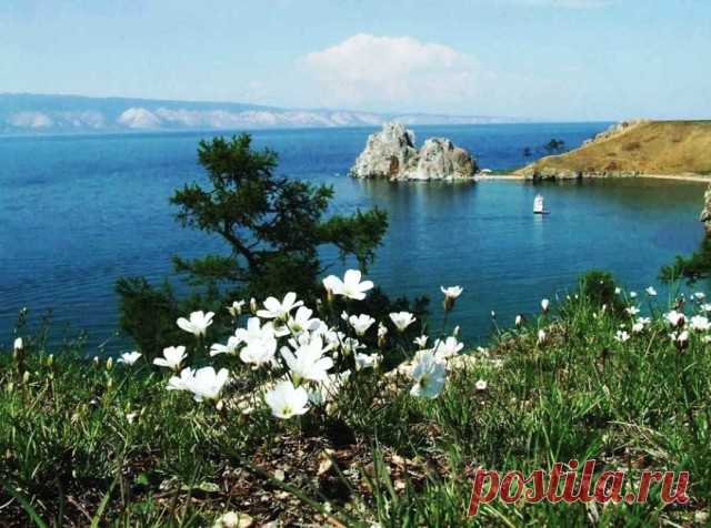 (50) Одноклассники