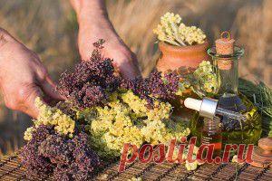 12 здоровых перекусов, которые снабдят вас энергией.