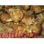 Куриные ножки, фаршированные грибами и сыром Кулинарный рецепт