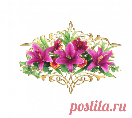 разные красивые детали на прозрачном фоне: 19 тыс изображений найдено в Яндекс.Картинках