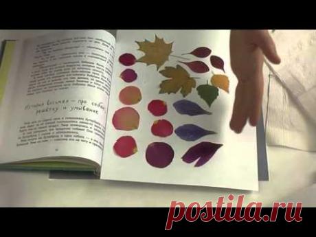 Важные правила и приемы сушки лепестков и листьев