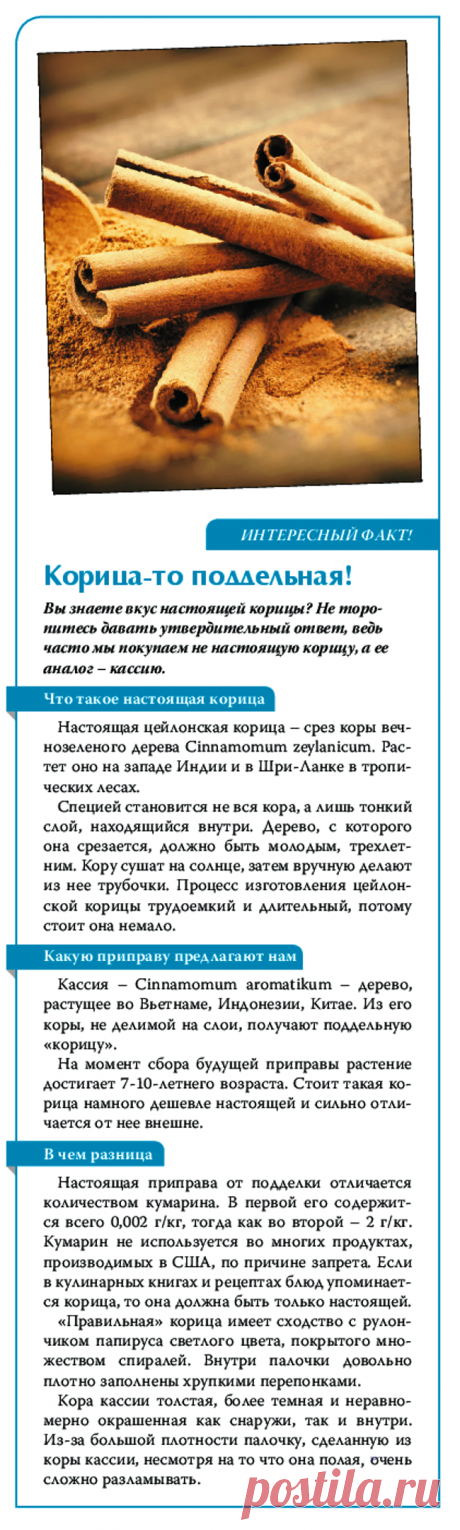 Корица-то поддельная!