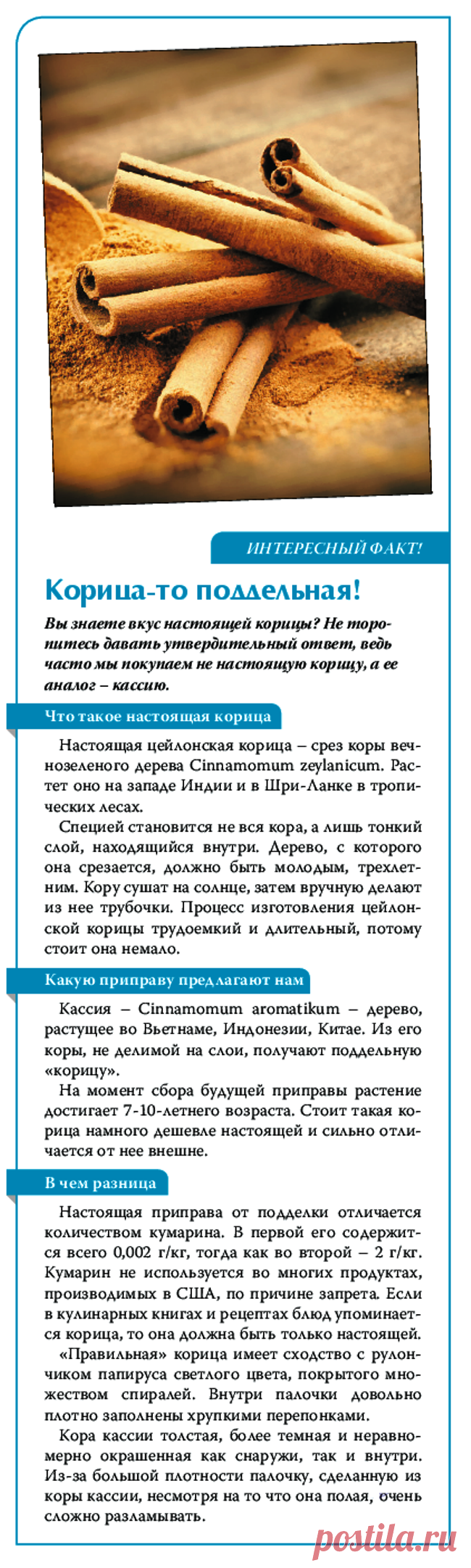 Корица-то поддельная!