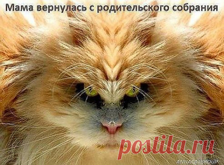 Мой Мир@Mail.Ru