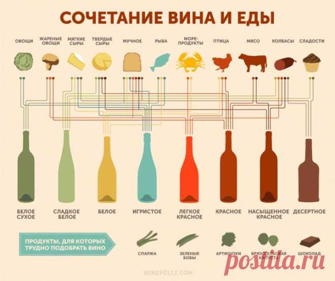 Как правильно сочетать вино и еду