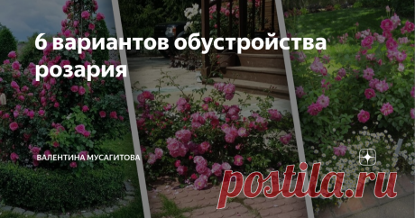 6 вариантов обустройства розария