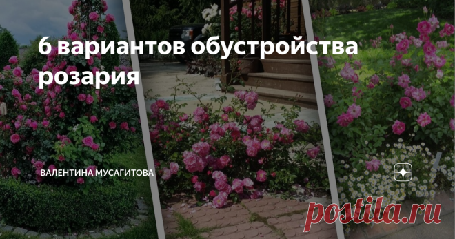 6 вариантов обустройства розария