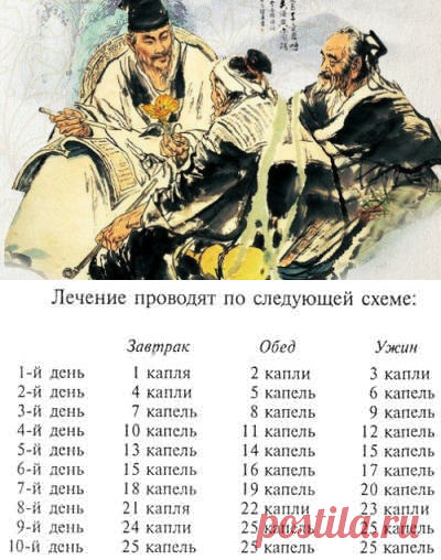РЕЦЕПТ ЧЕСНОЧНОЙ НАСТОЙКИ И СХЕМА ЕЕ ПРИМЕНЕНИЯ |