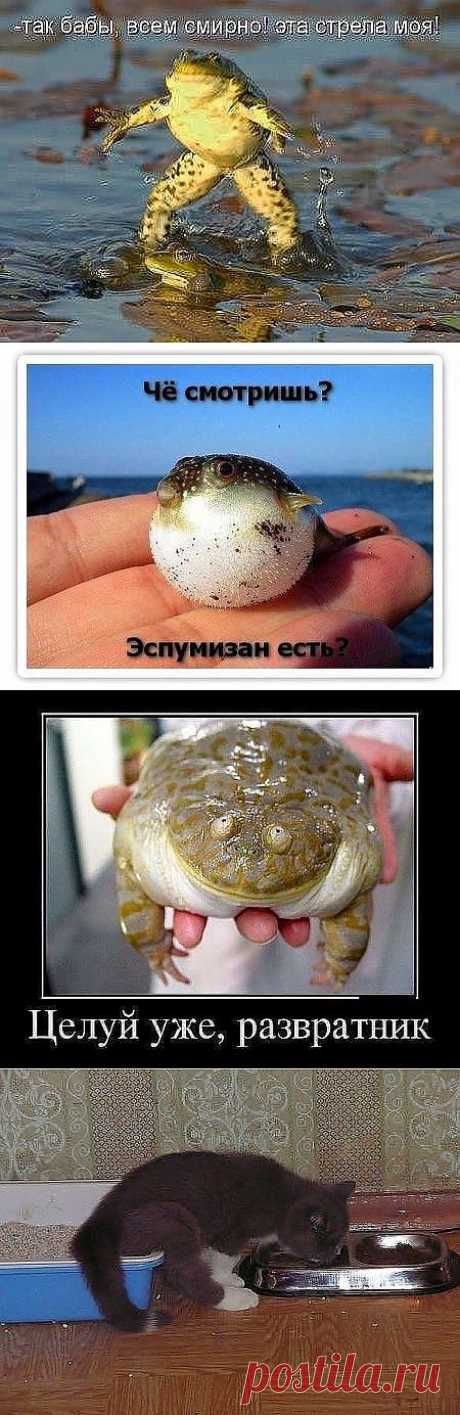 Улыбнитесь !!!!.