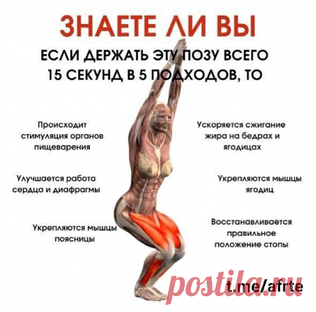 ЗАРЯДОЧКИ (+ 60 )
