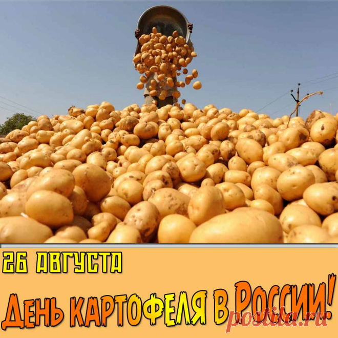 Картинка на день картофеля в России - 26 августа
