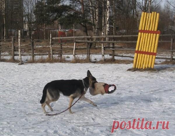 Зима, декабрь. Обсуждения - Блог. Run - Группы Мой Мир